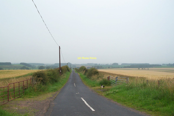 Photo 6"x4" Minor Road leading to Billiemains. Auchencrow c2011