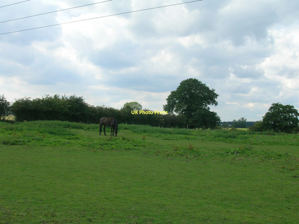 Photo 6"x4" Farmland near Sheepwalk Farm Deighton\/SE6244 c2011