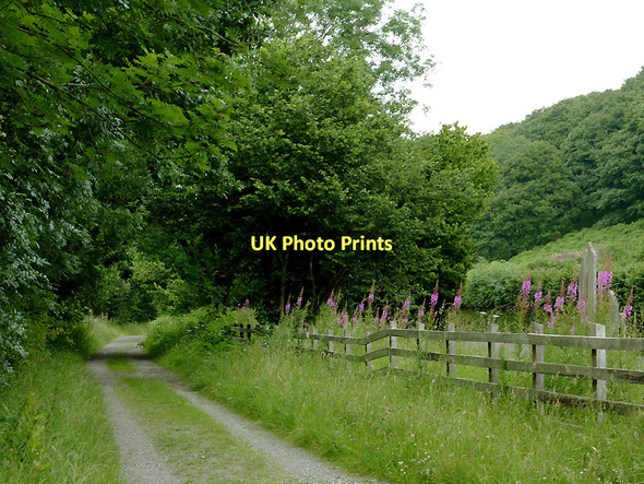 Photo 6"x4" Dismantled railway course near Tregaron, Ceredigion Swyddffynnon c2011