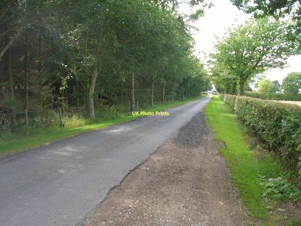 Photo 6"x4" Howden Lane heading west Crockey Hill c2011