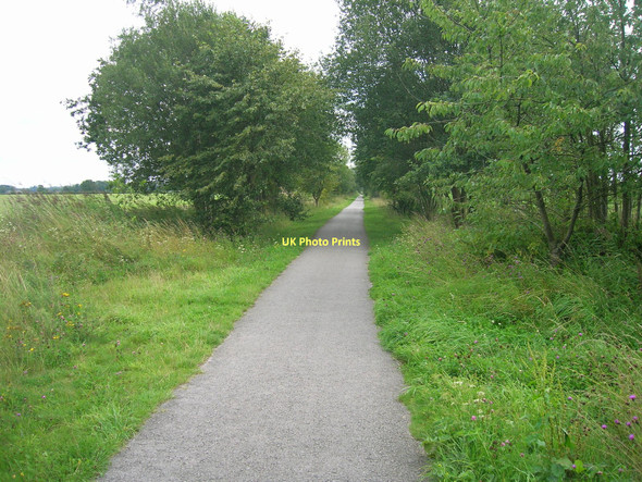 Photo 6"x4" Trans Pennine Trail towards Selby Naburn c2011
