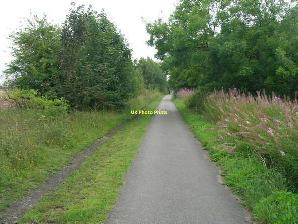 Photo 6"x4" Trans Pennine Trail towards Selby Deighton\/SE6244 c2011