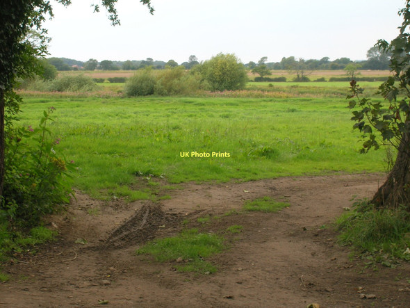 Photo 6"x4" Farmland near the River Ouse Naburn c2011