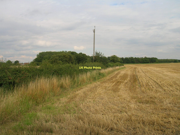 Photo 6"x4" Field boundary off the B1222 Stillingfleet c2011