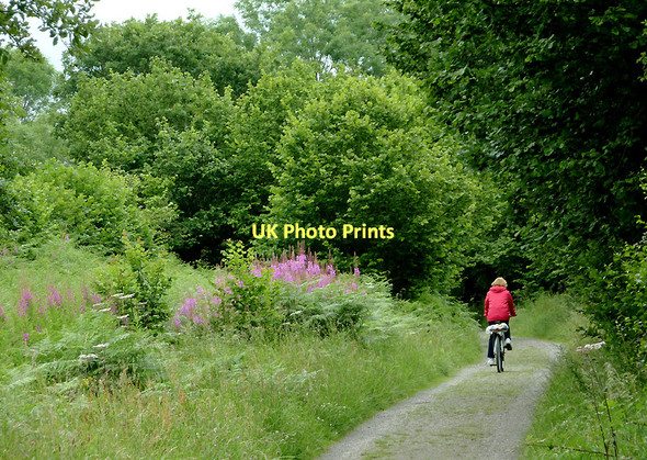 Photo 6"x4" Dismantled railway course near Tregaron, Ceredigion Swyddffynnon c2011
