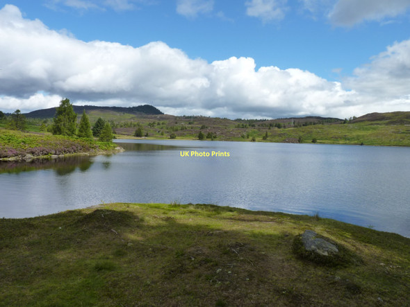 Photo 6"x4" Western shoreline Guay c2011