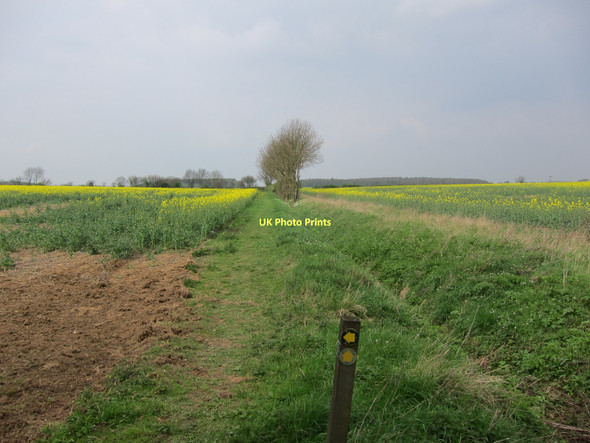 Photo 6"x4" Footpath junction Weston Green\/TL6252 c2011