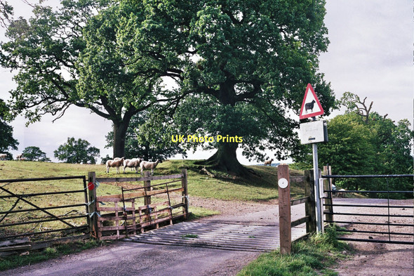 Photo 6"x4" Cattle grid at  Launde  Loddington\/SK7802 c2011
