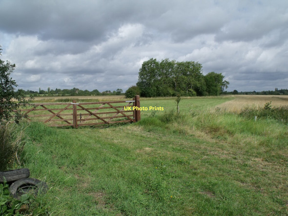 Photo 6"x4" Car Dyke Plantation Thorpe Tilney c2011