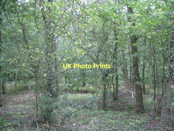 Photo 6"x4" South end of Cope's Rough  Freasley c2011