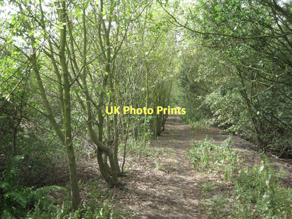 Photo 6"x4" Dismantled railway south of Birch Coppice Freasley c2011