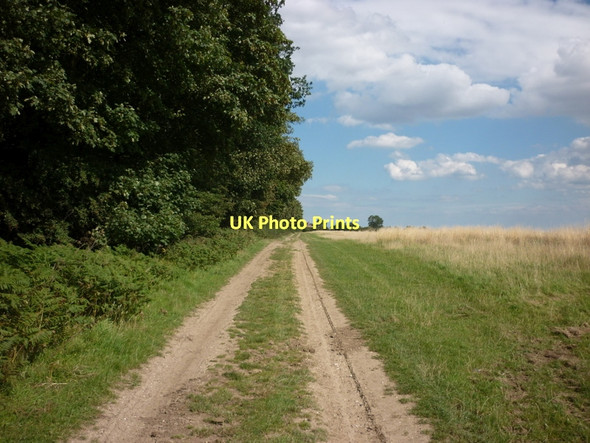 Photo 6"x4" A private farm track heading towards Wood End Farm New Ellerby c2011