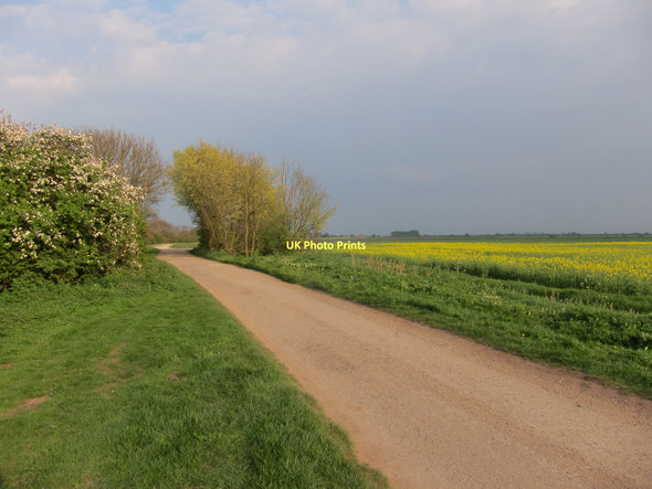 Photo 6"x4" Track by Forty Foot Drain Horseway c2011