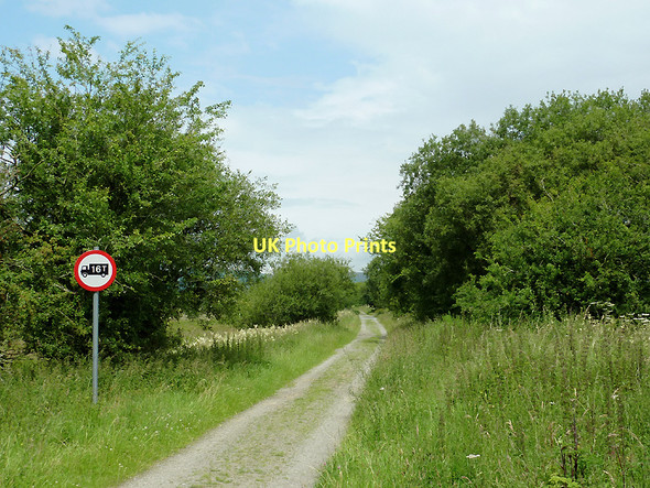 Photo 6"x4" Dismantled railway course near Tregaron, Ceredigion Swyddffynnon c2011