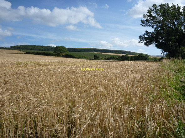 Photo 6"x4" Rural East Lothian : Field Scene Near Stenton Loan Stenton\/NT6274 c2011