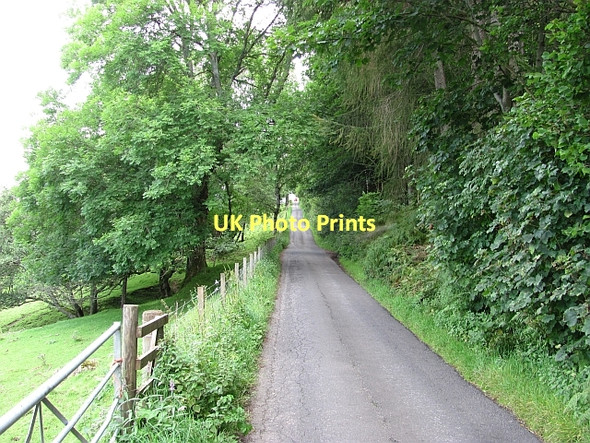 Photo 6"x4" South Loch Tay Road Ardeonaig c2011