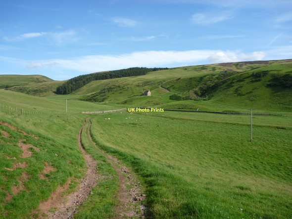 Photo 6"x4" Rural East Lothian : The Track From Deuchrie To Lucknow Stenton\/NT6274 c2011