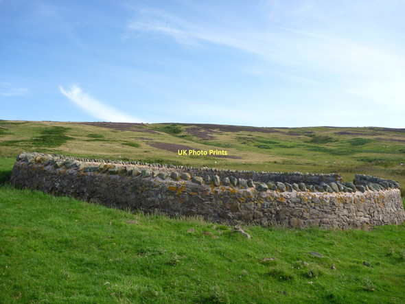 Photo 6"x4" East Lothian Landscape : Sheepfold Below Deuchrie Edge Garvald\/NT5870 c2011