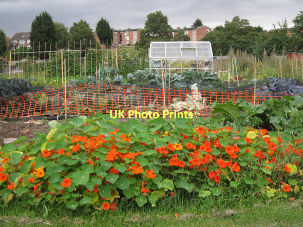 Photo 6"x4" Greenhouse on Potterton's allotments, Warwick  Warwick c2011