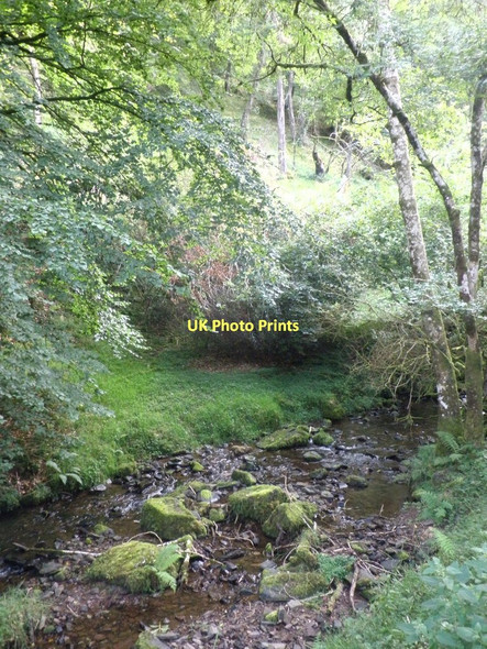 Photo 6"x4" East Water Luccombe\/SS9144 c2011