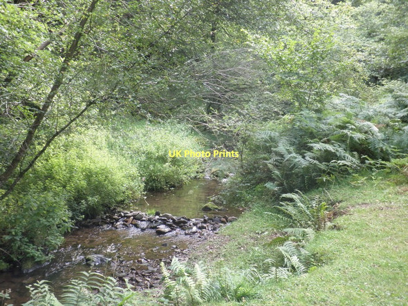 Photo 6"x4" The East Water Luccombe\/SS9144 c2011