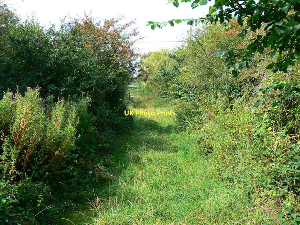 Photo 6"x4" West along Rigsby's Lane near Minety Lower Moor\/SU0291 c2011