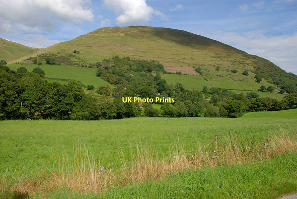 Photo 6"x4" Western slopes of Foel Benddin Aber-Cywarch c2011