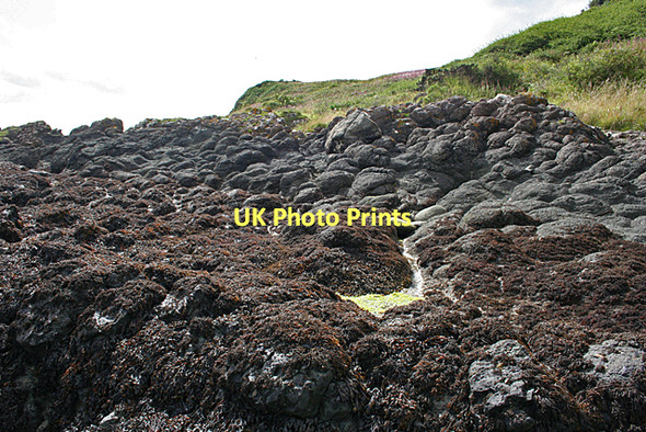 Photo 6"x4" Pillow Lavas Kinghorn\/NT2686 c2011