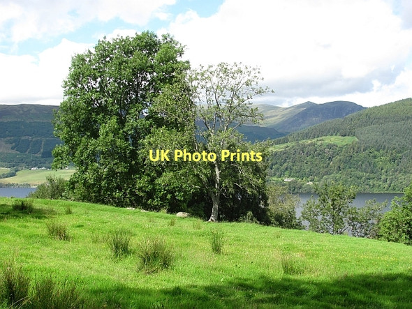 Photo 6"x4" Farmland near Rock House Fearnan c2011