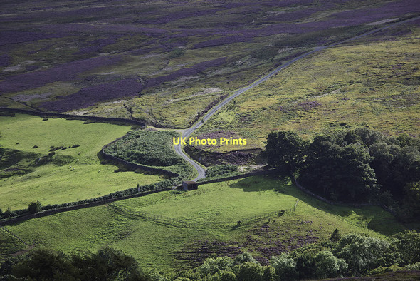 Photo 6"x4" Looking down on the cattle grid Street\/NZ7304 c2011