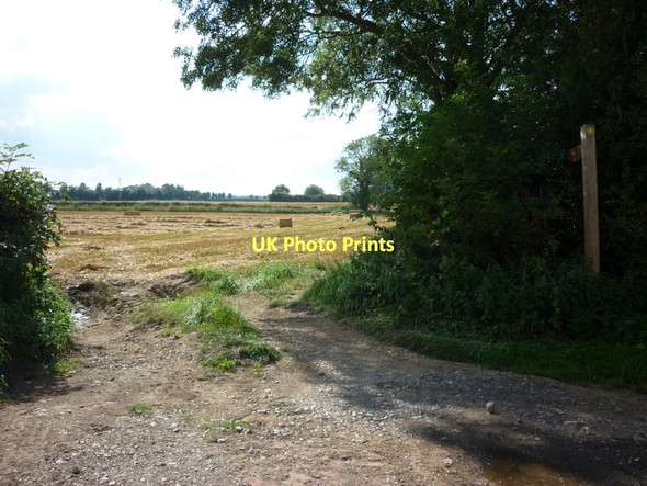 Photo 6"x4" A footpath off Rise Lane, Rise Catwick\/TA1345 c2011
