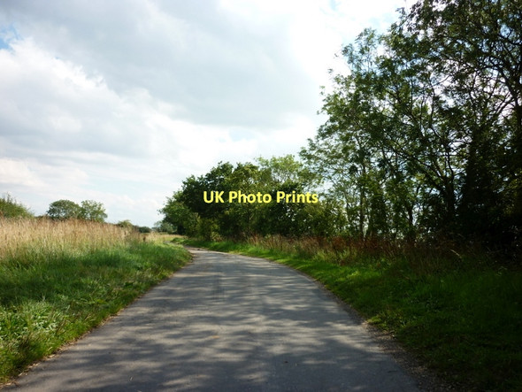 Photo 6"x4" Looking south along Catwick Heads Lane Seaton\/TA1646 c2011