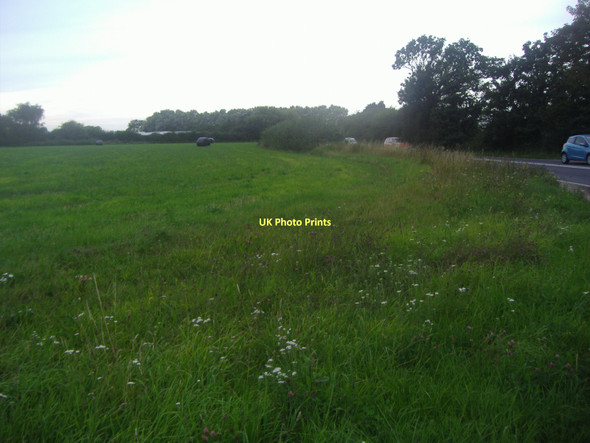 Photo 6"x4" Field by Street End Road Street End\/SZ8599 c2011