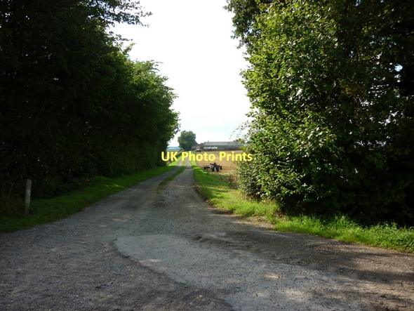 Photo 6"x4" The entrance Cobble Hall Farm Seaton\/TA1646 c2011