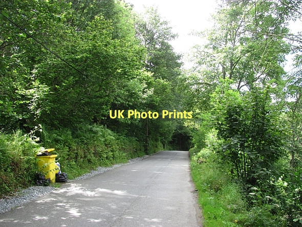 Photo 6"x4" South Loch Tay Road Acharn\/NN7543 c2011