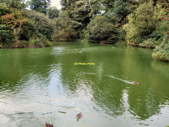 Photo 6"x4" Lake - Singleton Charlton\/SU8812 c2011