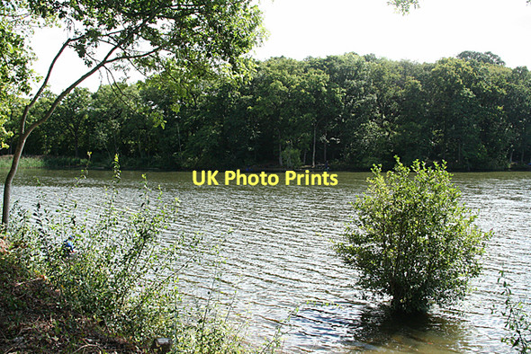 Photo 6"x4" Chard: Chard Reservoir Chard c2011