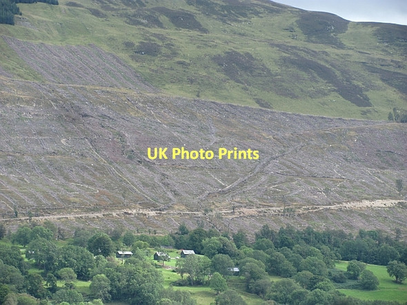 Photo 6"x4" Clear fell, Loch Tay Ardtalnaig c2011