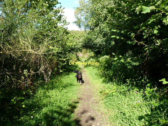 Photo 6"x4" The track behind Coppice Farm Ladyoak c2011