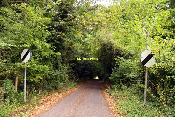 Photo 6"x4" The road to Tubney church Tubney c2011