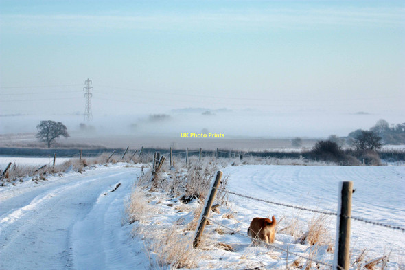 Photo 6"x4" Common lane Wawne Meaux c2010