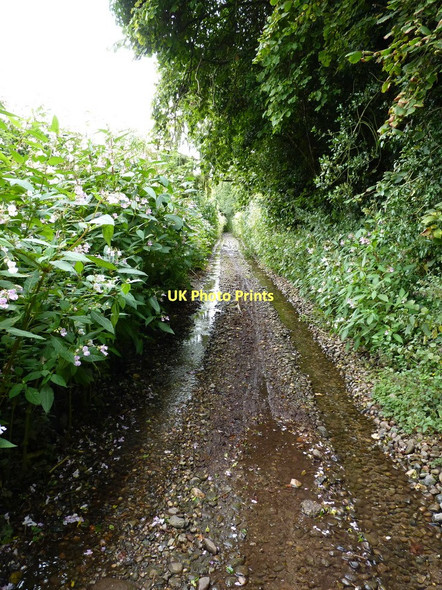 Photo 6"x4" Bennetts Lane, Great Moor Great Moor\/SO8398 c2011