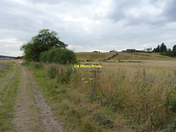Photo 6"x4" Bridleway below Little Moor Great Moor\/SO8398 c2011