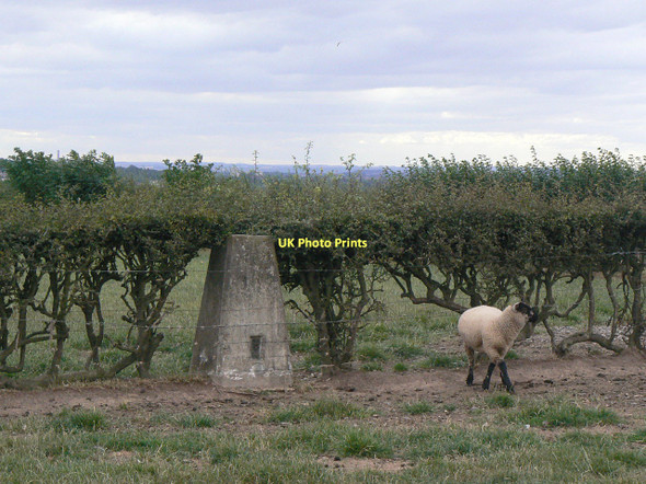 Photo 6"x4" Arnold Lodge trig point Arnold\/SK5945 c2011