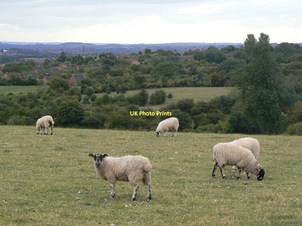 Photo 6"x4" View from near Arnold Lodge trig point Arnold\/SK5945 c2011