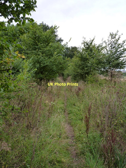 Photo 6"x4" Bridleway between Rudge and Chesterton Rudge\/SO8197 c2011