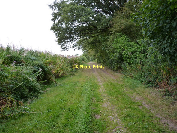 Photo 6"x4" Bridleway beside the woods Chesterton\/SO7897 c2011