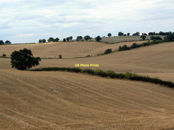 Photo 6"x4" Landscape near Woodborough Park Arnold\/SK5945 c2011