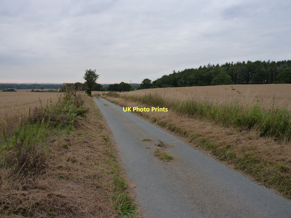 Photo 6"x4" The lane to Copley from Rudge Rudge\/SO8197 c2011