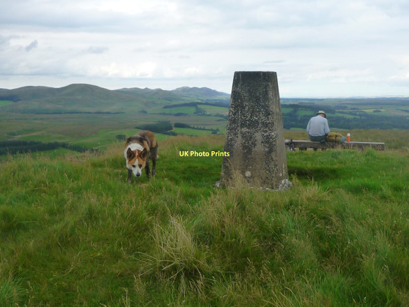 Photo 6"x4" Mendick Hill Bogs Bank c2011